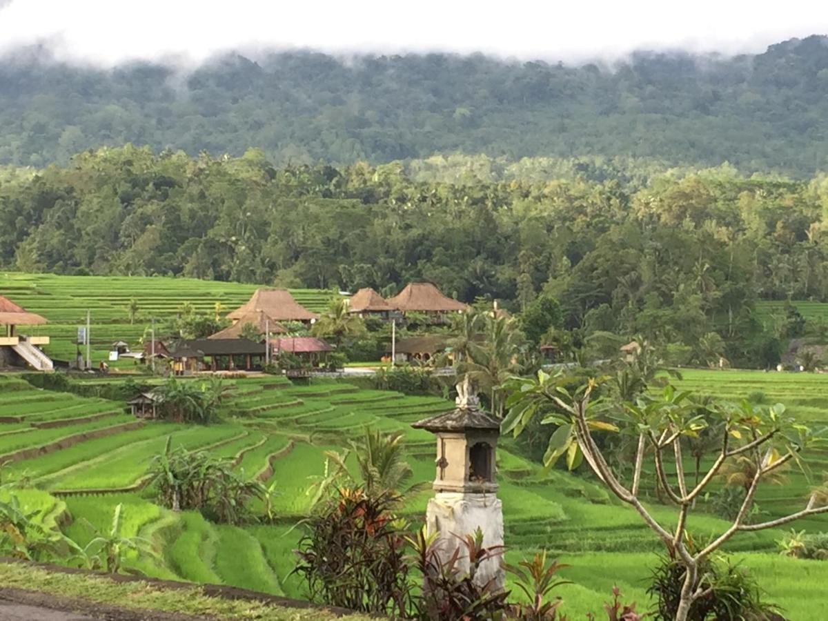 The Hidden Bali Inn Ubud Esterno foto